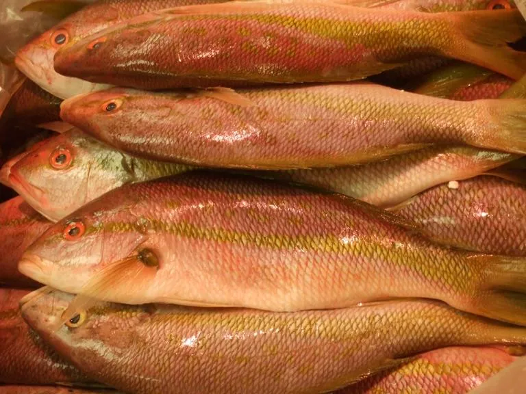 Seafood-display
