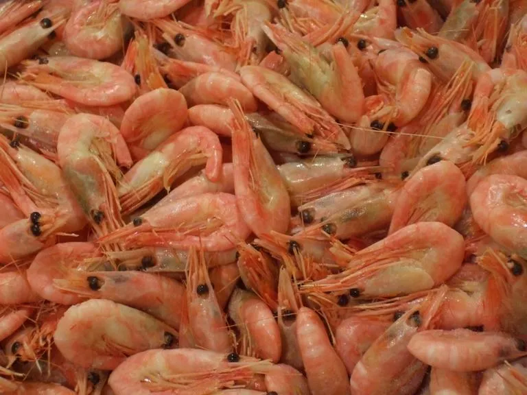 Seafood-display