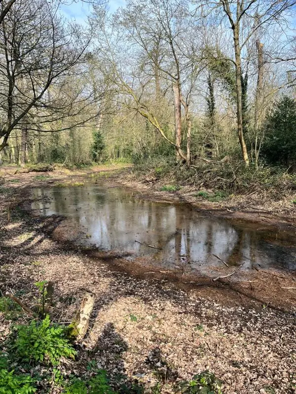 Puddle of water in the dry lakebed of Ornamental Water