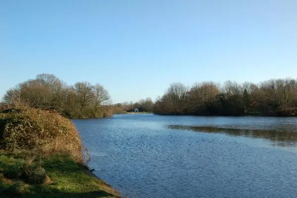 Heronry Pond, Wanstead Park. View across pond with the tea hut visible on the horizon between the trees.