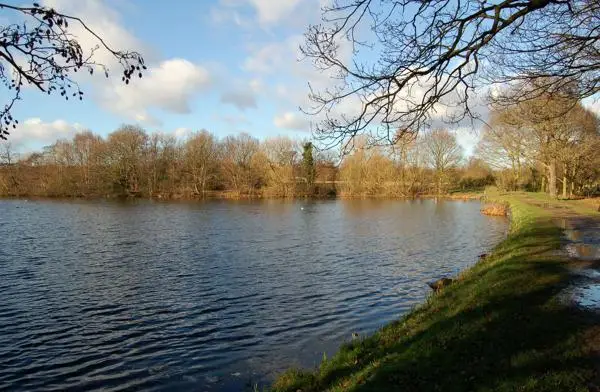Perch Pond, Wanstead Park. Open water with trees along the bankside and a footpath on the right hand side.
