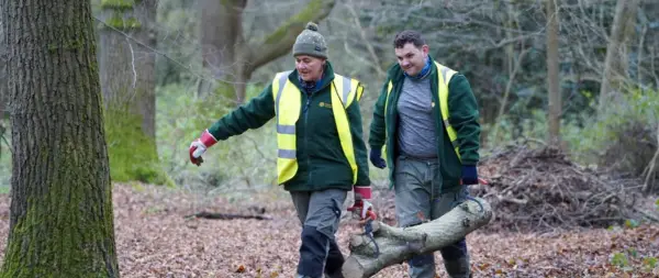 Volunteers moving logs